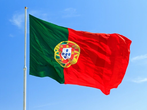Portugal Flag - Removals to Portugal